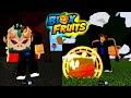 Noob find mythical trex and legendary fruits under the tree in blox fruits 10