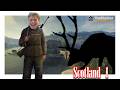 First time on Scotland, first DIAMOND! | theHunter Call of the Wild