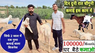 2 साल मे 10 गुणा कमाई वाला धंधा | नौकरी नही बकरी पालन करते युवाHow to start Goat farming in India 