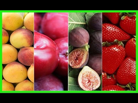 Frutas  Ricas  en  Hierro  para  La  Anemia