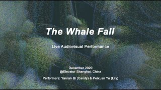 The Whale Fall - Live Audiovisual Performance