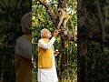 modi gave mangoes to monkey 🐒 #animation #funny #viral #viral #ai #funnycomment