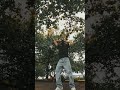 Katseye GABRIELA Dance Cover Dance KATSEYE Gabriela Fyp 