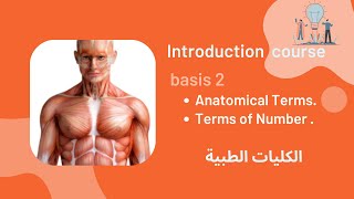 كورس التأهيل للكليات الطبية (حلقة  2 ) |  Introduction course - Anatomy Basis (2)