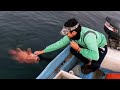 pesca con LINEA A MANO || pescando BAQUETAS GIGANTES con CAMARÓN VIVO...