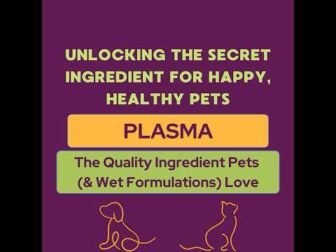 Plasma: The Secret Ingredient Behind High-Quality Wet Pet Food