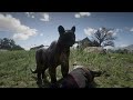 Red Dead Redemption 2 Playing panther mod