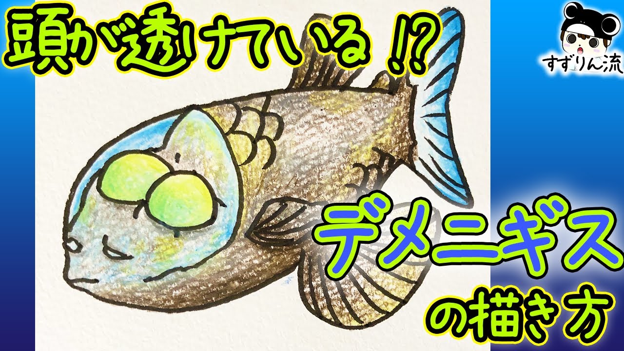 Deep Sea Fish How To Draw Himantolophus Easy And Cute Illustration Youtube