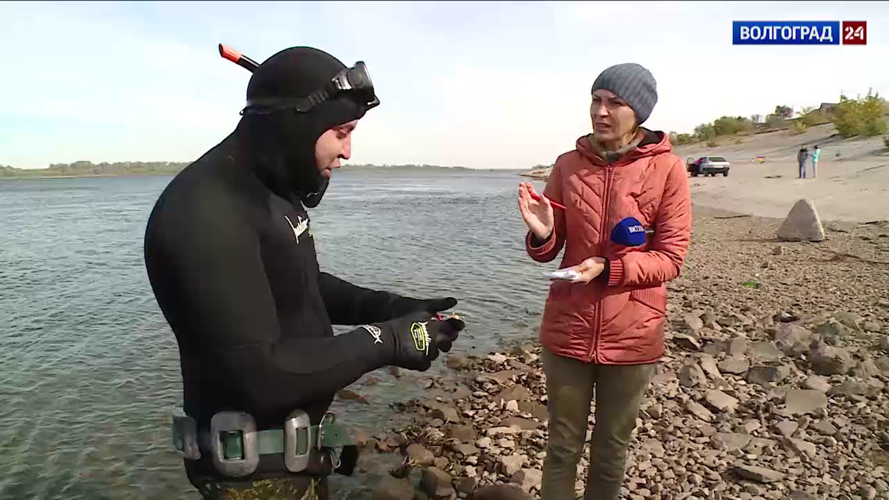 Шаг в волгу