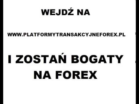 forex dla początkujących