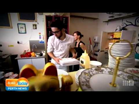 Cat Cafe Today Perth News YouTube Cat Cafe Today Perth News YouTube
