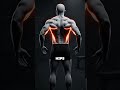 The Lat Exercise Everyone Does Wrong (Build a Wider Back Fast)