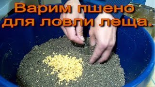 Варим пшено для ловли леща.