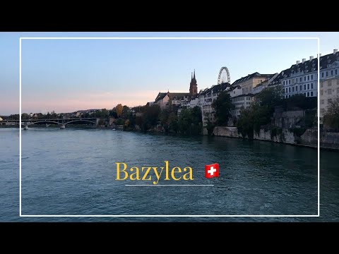 Wideo: Gdzie jest Bazylea Mulhouse-Freiburg?