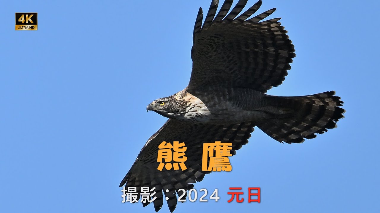 maxresdefault.jpg