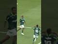 Palmeiras Sub17 CAMPEÃO