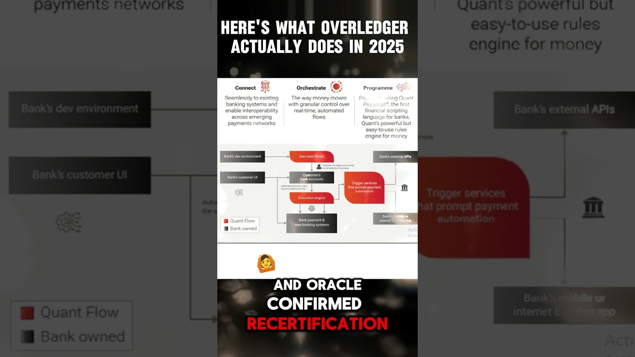 Here's What Overledger Actually Does in 2025 