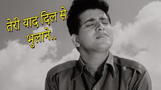 Teri Yaad Dil Se Bhulane | Hariyali Aur Rasta (1962) | Manoj Kumar | Mala Sinha | HD