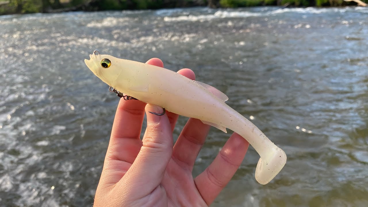 BIG River Bass on the Megabass Magdraft Swimbait!! (New PB!!) BIG River Bass on the Megabass Magdraft Swimbait!! (New PB!!)