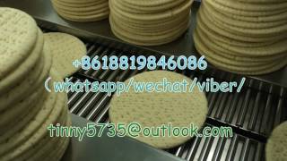 600W披薩往复式包装，Pizza Flow pack machine，Pizza Reciprocating wrapping machine