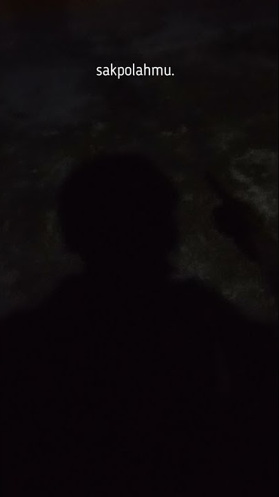 story wa jangan rubah takdirku koplo || sakpolahmu