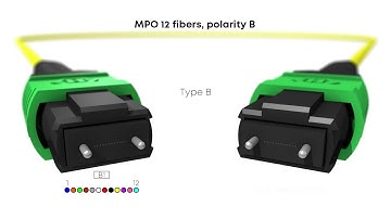 MPO knowledge sharing programme - Polarity