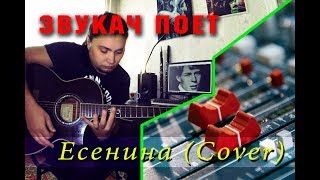 BIGI - Заметался пожар голубой (The Retuses/Есенин С.А., Acoustic cover) BIGI - Заметался пожар голубой (The Retuses/Есенин С.А., Acoustic cover)