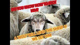 DISCERNMENT.. HOW TO SEE A WOLF IN SHEEP CLOTHING