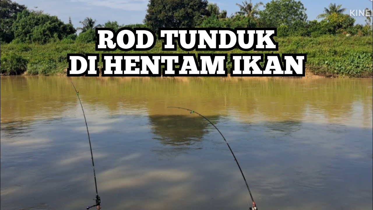 Memancing di Sungai Kinta,waktu pagi
