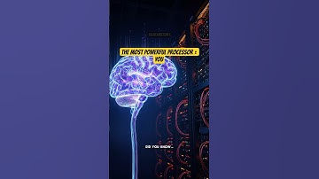 “Human Brain is Faster Than a Computer!”