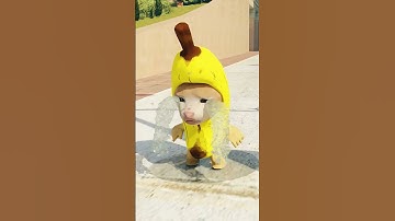 Banana Cat Save The World 🐈✨