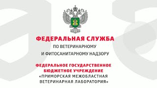 О лаборатории ФГБУ «Приморская межобластная ветеринарная лаборатория»