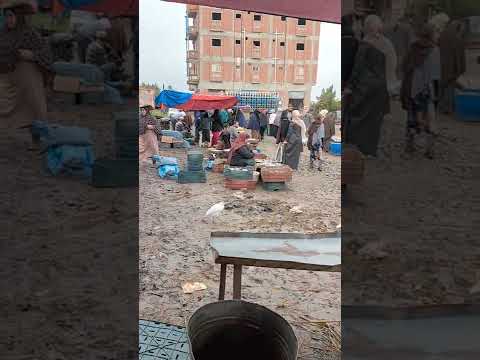 سوق من محافظة كفر الشيخ مركز سيدي سالم منشأة عباس تعالى شوف بنفسك كده