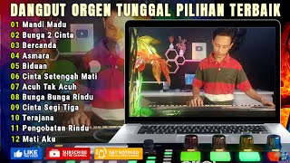 ALBUM DANGDUT ORGEN TUNGGAL TERBARU 2024 | FULL ALBUM LAGU NGEBIT ENAK BANGET COCOK BUAT TEMAN KERJA