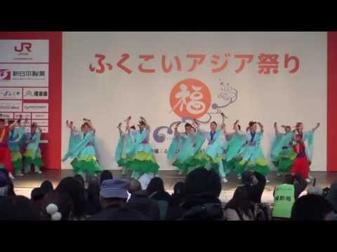 市比野温泉よさこい踊り隊さん　2014　ふくこいアジア祭り②