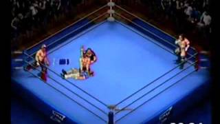 Fire Pro Wrestling D: The Road Warriors vs. Triple H & Shawn Michaels