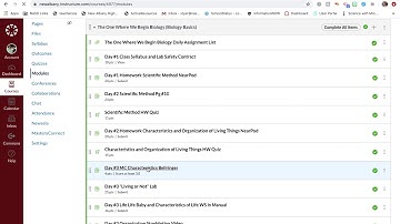Mastery Connect In Canvas