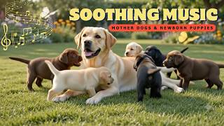 Calming Music for New Mother Dog & Newborn Puppies 🐶 Soothing Puppy Lullaby screenshot 3
