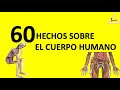 HECHOS SOBRE EL CUERPO HUMANO - JUNTXS.