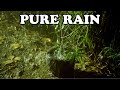 Pure Heavy Rain in Garden with Deep Thunder Sounds - Real Rain Sounds for Sleeping, Relaxing, Read