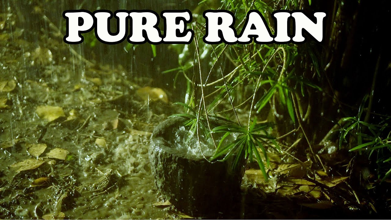 Guarda Pure Heavy Rain in Garden with Deep Thunder Sounds - Real Rain Sounds for Sleeping, Relaxing, Read su YouTube Guarda Pure Heavy Rain in Garden with Deep Thunder Sounds - Real Rain Sounds for Sleeping, Relaxing, Read su YouTube