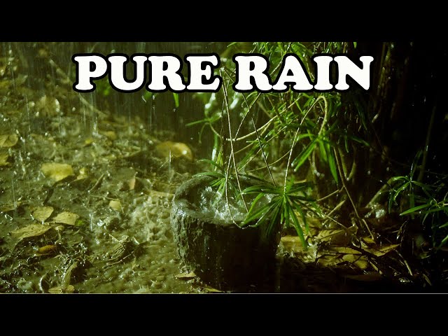 Pure Heavy Rain in Garden with Deep Thunder Sounds - Real Rain Sounds for Sleeping, Relaxing, Read class=