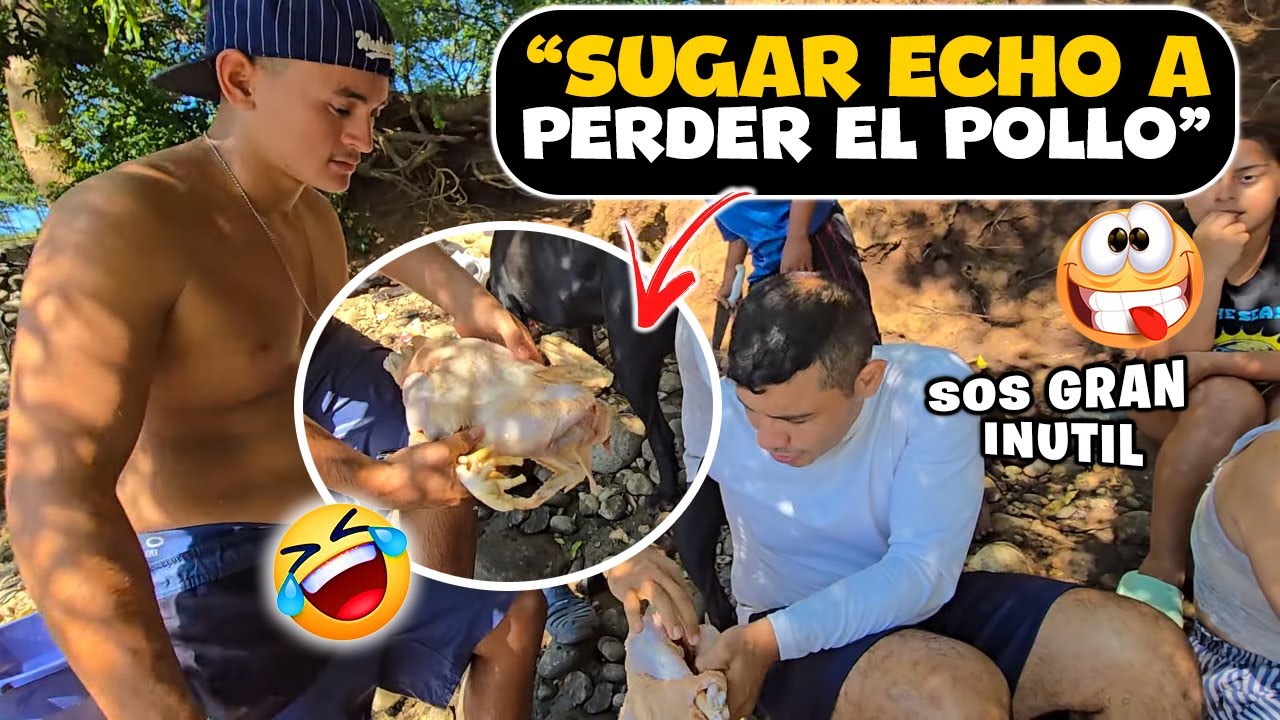 ¡AYUDA! ¡AYUDA! con estos hombres inútiles: mira el desastre que hizo SUGAR alineando pollo.
