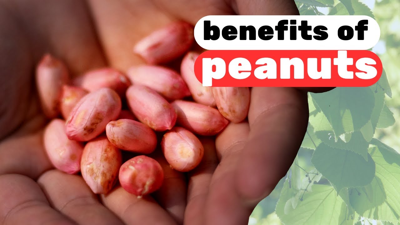 The Incredible Health Benefits of Eating Peanuts Every Evening What You Need to Know YouTube