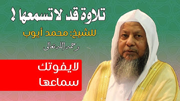 أجمل تلاوة سمعتها في حياتي من محراب المسجد النبوي الشريف " الشيخ محمد أيوب