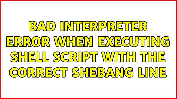 Bad interpreter error when executing shell script with the correct shebang line (2 Solutions!!)