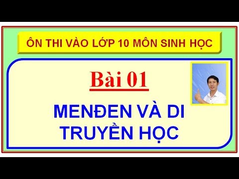 Luyện thi vào lớp 10 môn sinh học | Ôn thi vào lớp 10 – Môn Sinh học – Menđen và di truyền học