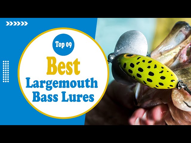 Top 9 Best Largemouth Bass Lures [ Bass Fishing Tips ] 