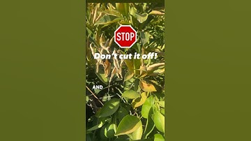 STOP! Don