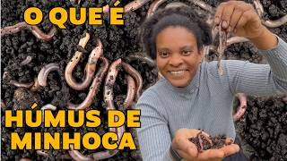 Compostagem com Minhocas: O melhor adubo natural para suas plantas